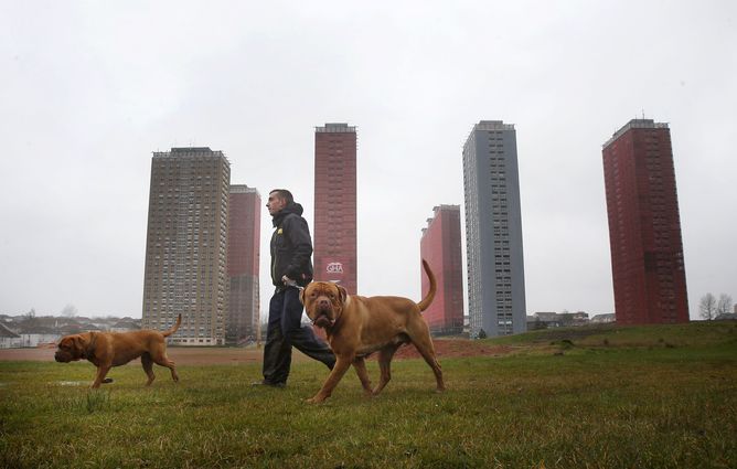 Red Road towers: still standing. Danny Lawson/PA Wire