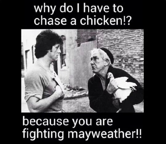 chicken-1