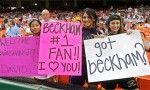 beckham-fans300x180