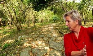 Forskarprofil | Annette Bischoff, Høgskolen i Telemark