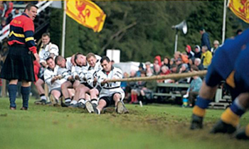 Ny jämförande studie om idrottspolitik