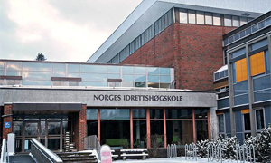 Postdoktor i dans till Norges idrettshøgskole, 2014–2018