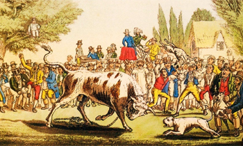 Interesting case study, rich in detail, of sports of yore