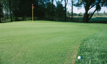Akademisk ambivalens i välskriven golfbok