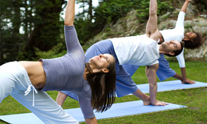 Call for Papers | Association of Researchers in Physical Activities and Sports, ACAPS, International Congress | October 26–28 2015, Nantes, France