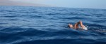 open-water-swimming