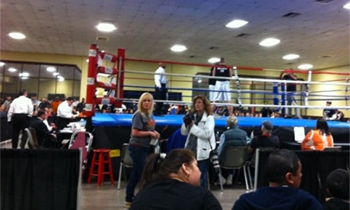 “A beautiful piece of research on the culture of boxing”