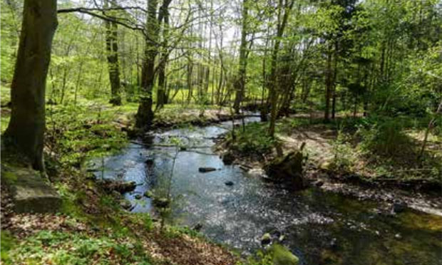 En bildningsresa genom danskt turfriluftsliv