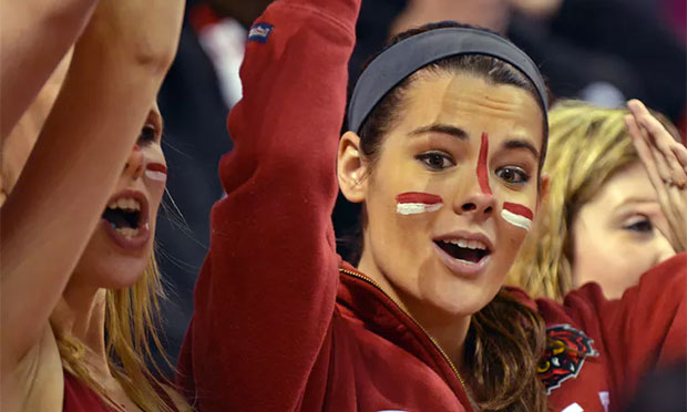 The cultural conditions and social contexts of female sports fandom unveiled