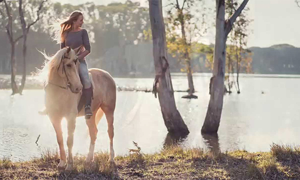 Marketing the Perfect Ride: A Study of the Marketing of Horse Tourism on the Internet