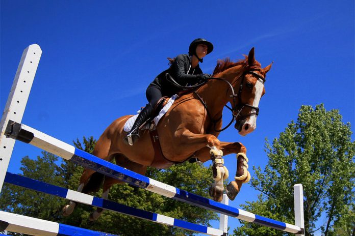 Journal of Sport Behavior, Vol. 42, 2019, No. 1