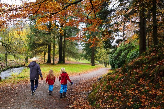 Stipendiatstilling på fagområdet «Unge menneskers forhold til natur og bynært friluftsliv». Søknadsfrist 15 november 2019
