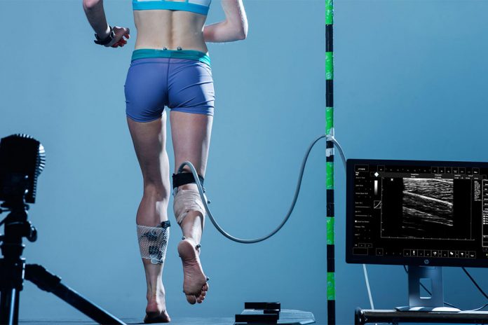 Vacancy: Professor/Associate Professor in Sports Biomechanics at Norwegian School of Sport Sciences. Apply before February 21, 2020