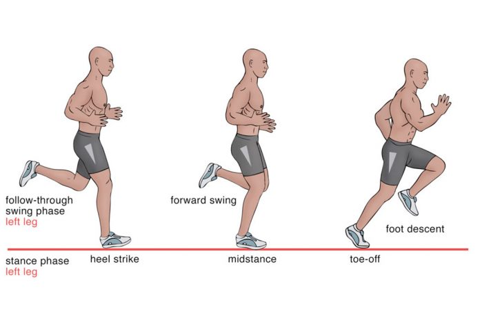 Journal of Applied Biomechanics, Volume 36, 2020, Issue 3