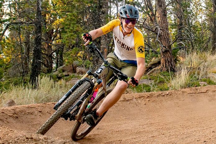 New editorial team and structure of Scandinavian Journal of Sport and Exercise Psychology (press release 2021-05-25)