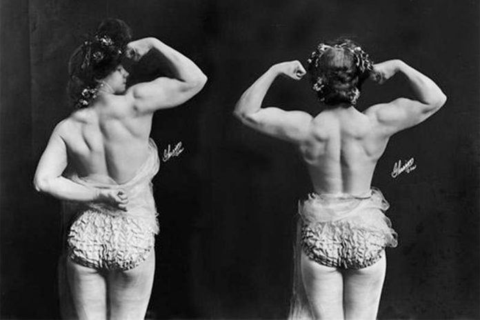 ‘A strong woman’s troubles’: Victorina and the strong woman in Victorian Britain | A summary