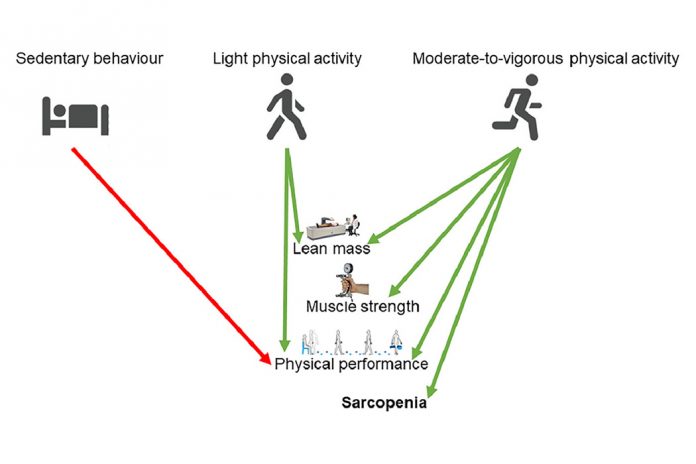 Journal of Sport and Health Science, Volume 10, 2021, Issue 5
