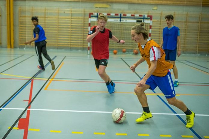 Public defence of doctoral thesis | Physical activity, mental health and academic achievement in adolescents | Ingeborg Barth Vedøy, Norwegian School of Sport Sciences, December 1, 2021