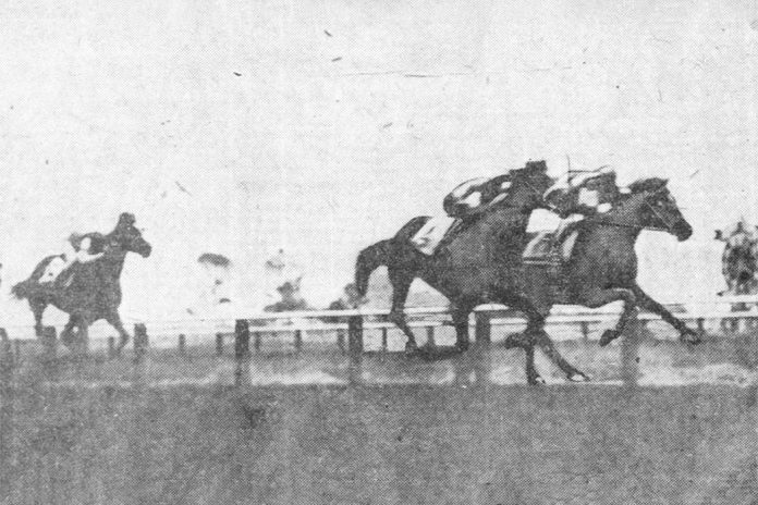 Thoroughbred horse racing, the original American pastime