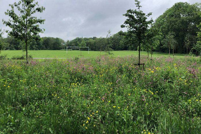 Sport in Society, Volume 28, 2025, Issue 3