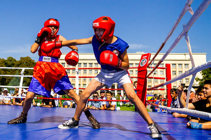 Violence and values in combat sport: A Summary