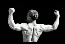 An excellent exploration of the development, transformation, regulation and promotion of fitness over time