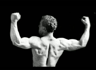 An excellent exploration of the development, transformation, regulation and promotion of fitness over time