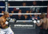 Useful contribution to the study of race, inequality, and identity in American professional boxing