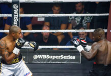 Useful contribution to the study of race, inequality, and identity in American professional boxing