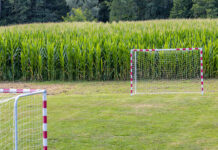 Call for Papers | ”Grassroots to Elite Sport: Creating Safe, Supportive, and Healthy Environments”, SVEBI-konferensen 2026 | Umeå universitet, den 4–5 november 2026. Deadline den 15 september 2026