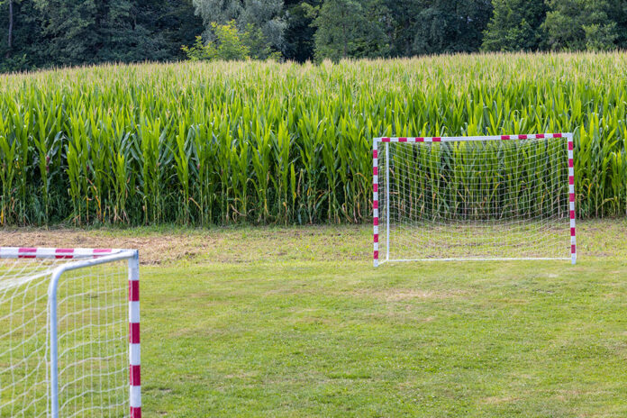 Call for Papers | ”Grassroots to Elite Sport: Creating Safe, Supportive, and Healthy Environments”, SVEBI-konferensen 2026 | Umeå universitet, den 4–5 november 2026. Deadline den 15 september 2026
