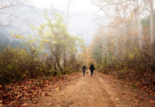 Bridging movement and mental health