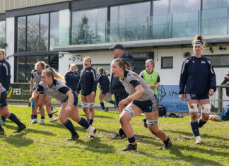 Call for Participation | Changing the Game: Womens Experiences in Sport | Free online event, October 15, 2026 | Reserve a spot!