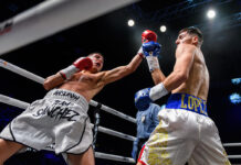 This big book of boxing ends in a split decision