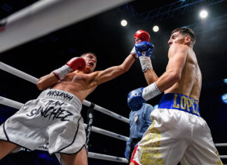 This big book of boxing ends in a split decision